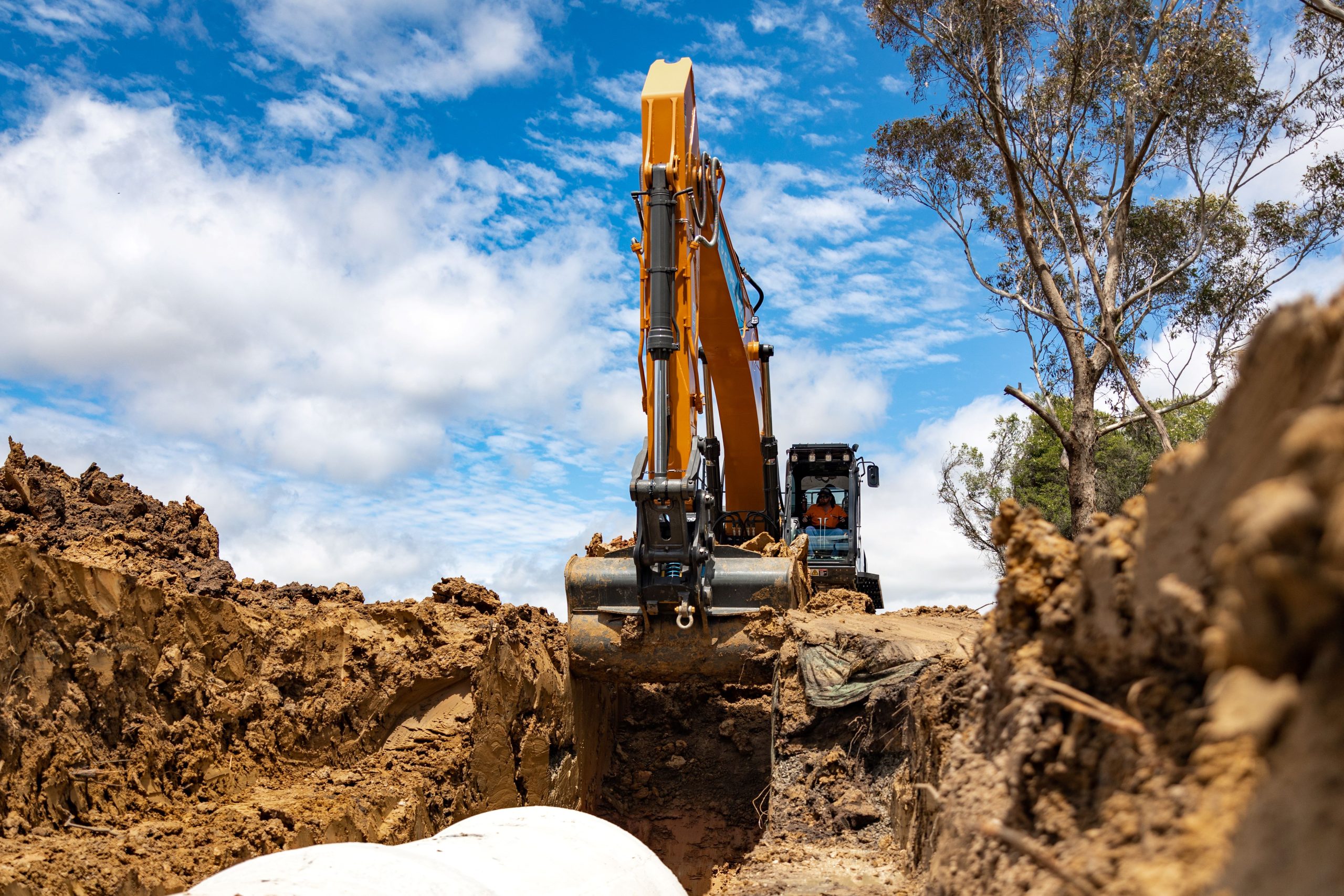 Vineyard Construction